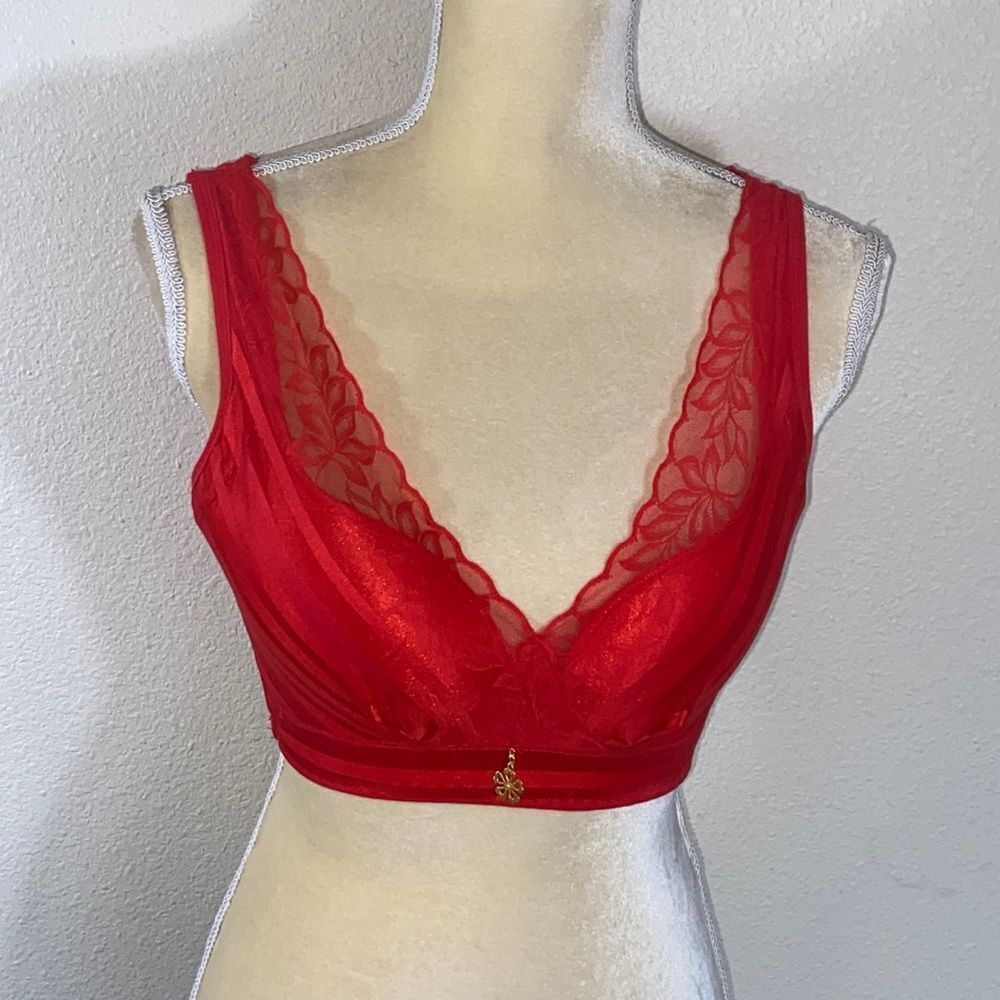 10/$50 New Top Moda Red Size 38C